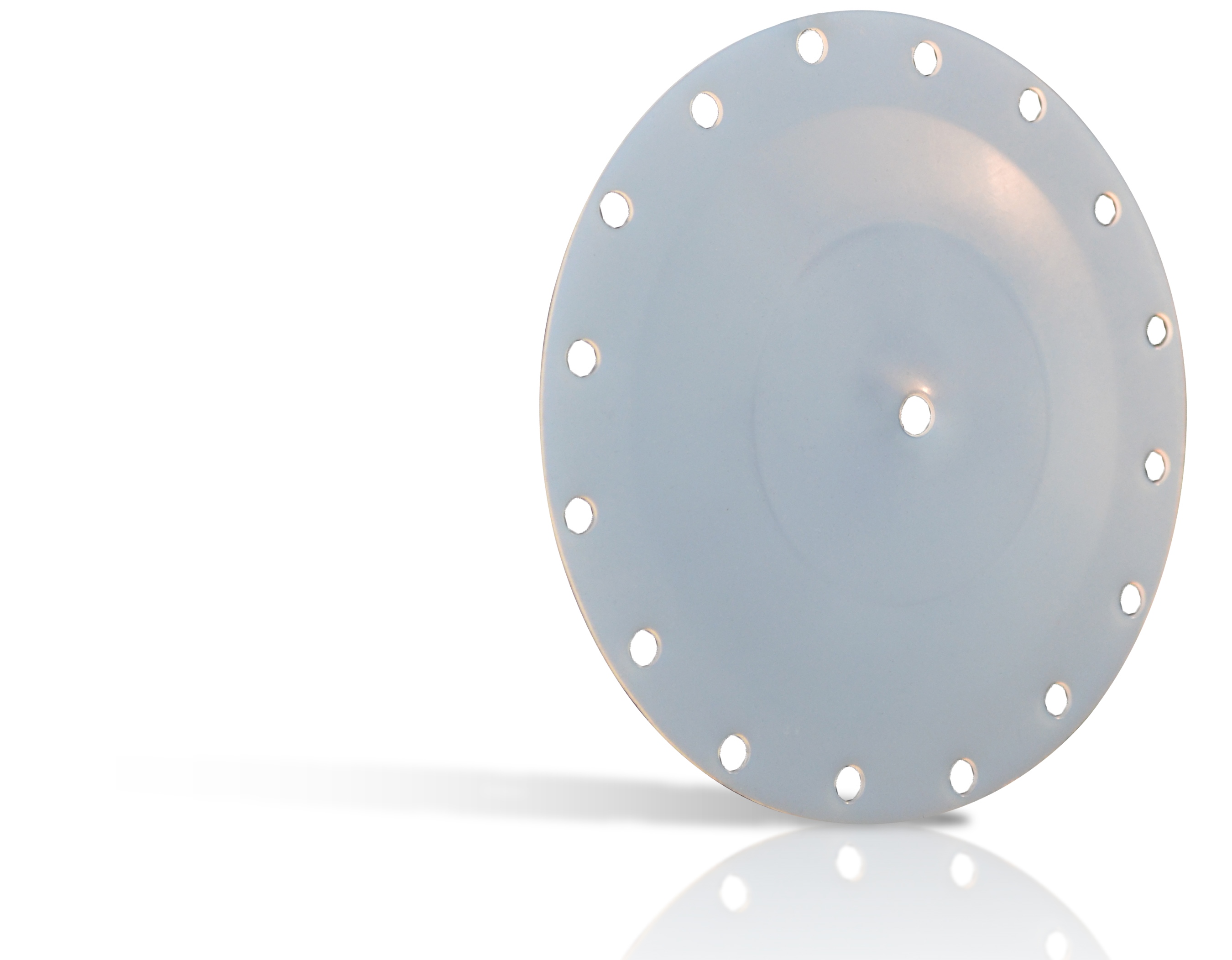 D001 Gylon&reg; PTFE Diaphragm